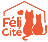 Association-Féli-Cité